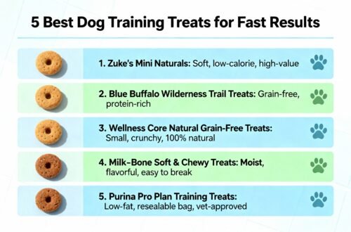 5 Best Dog Training Treats for Fast Results